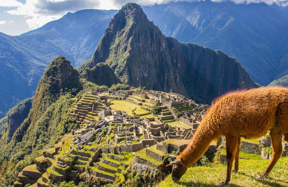 Machupicchu (6)